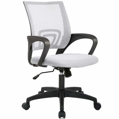 ALINUNU Chaise exécutive en maille blanche avec support lombaire et mécanisme papillon