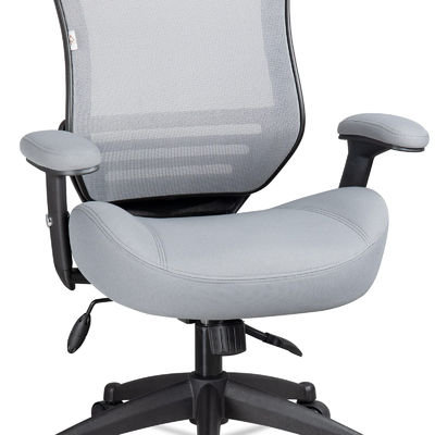 Chaise de bureau d'ordinateur de bureau ergonomique avec support de bras et de taille réglable en hauteur Gris