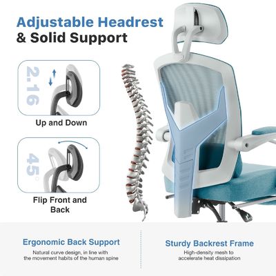 Chaise de bureau ergonomie haute arrière avec coussin lombaire et repose-pieds rétractable