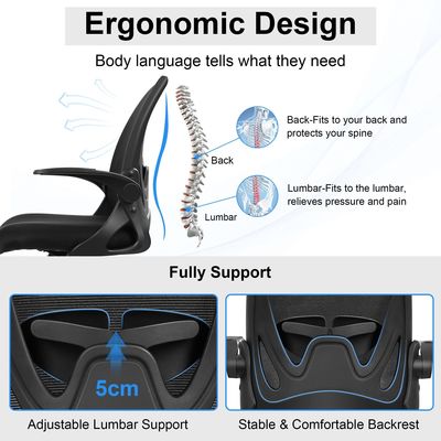 Chaise ergonomique exécutive avec support lombaire et fer de type métallique